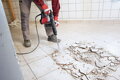 Flex DH 5 SDS-max
