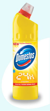 Domestos 750ml Citrus Fresh
